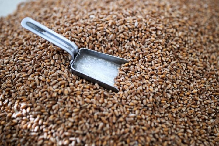 Azərbaycan Rusiyadan buğda alışını 5 dəfə azaldıb