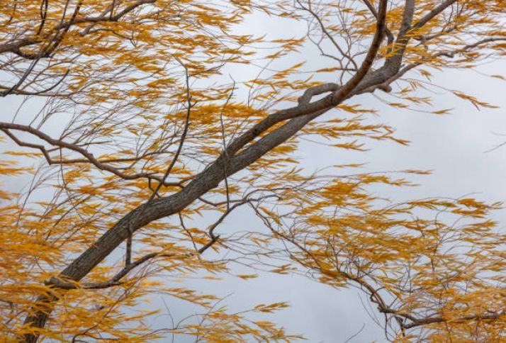 Sentyabrın 14-də gözlənilən hava şəraiti