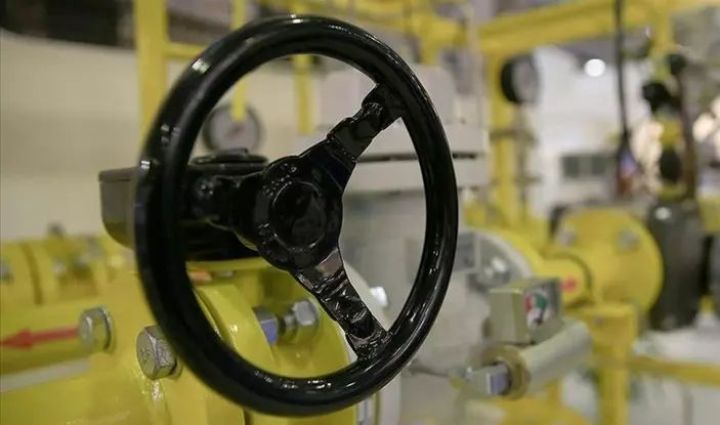 SOCAR Türkiyədə 2 şirkətini satdı