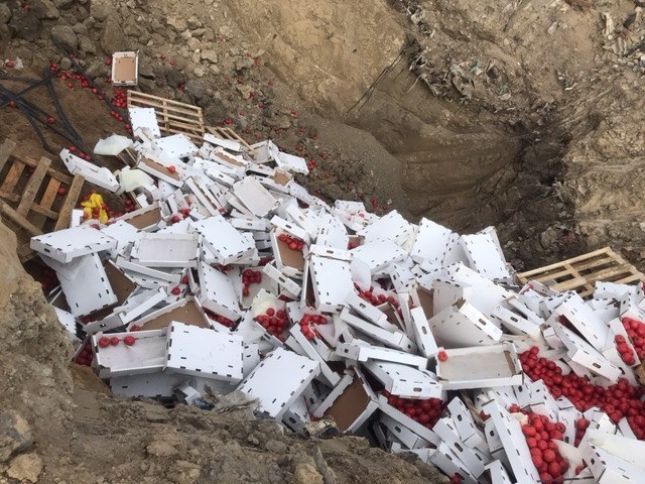 “Dəmir Yumruq-A” şirkətinin 9 ton pomidor məhsulu məhv edildi