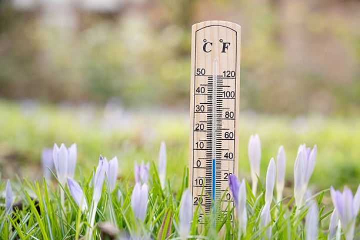 Mayın 14-nün hava proqnozu - 31° isti gözlənilir