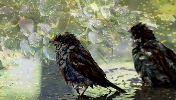 Azərbaycanda intensiv yağış yağacaq