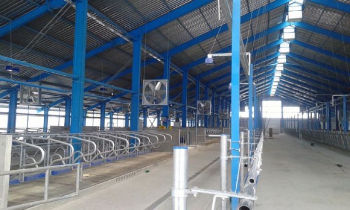 "Azza" tortunun istehsalçısı ferma tikir - İşlər yekunlaşır