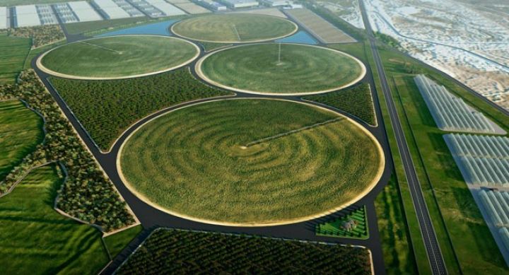 Azərbaycanda 38 böyük aqropark yaradılır