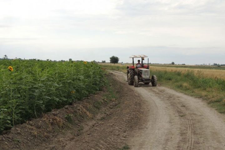 Kənd təsərrüfatı kooperasiyasının inkişafına dair Dövlət Proqramı təsdiqlənib