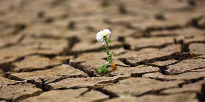 ABŞ-ın iqlim qərarı temperaturu 0.3 dərəcə artıra bilər