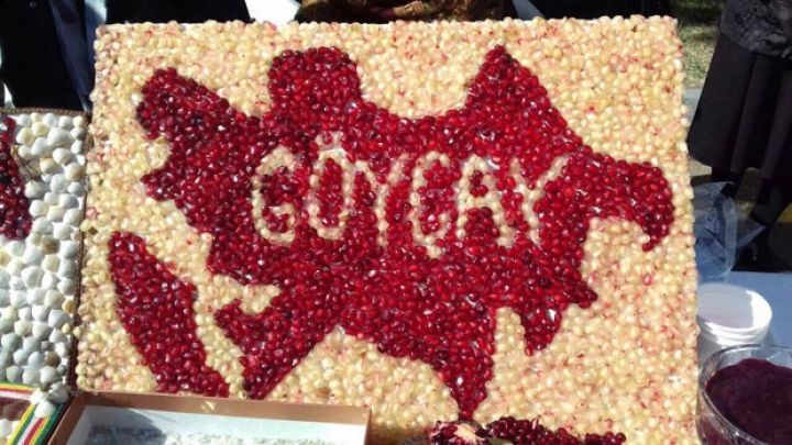 Bu il Göyçayda 40-50 min ton nar gözlənilir - BAYRAMDAN FOTOLAR