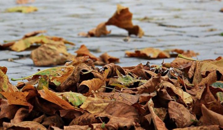 Sabaha olan hava proqnozu açıqlanıb
