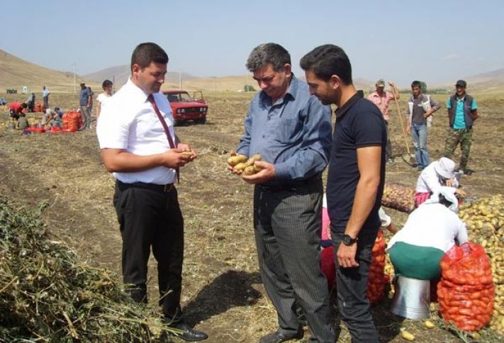 "Su məsələsini həll edə bilmirik, məhsuldarlıq təbiətdən asılı olur"