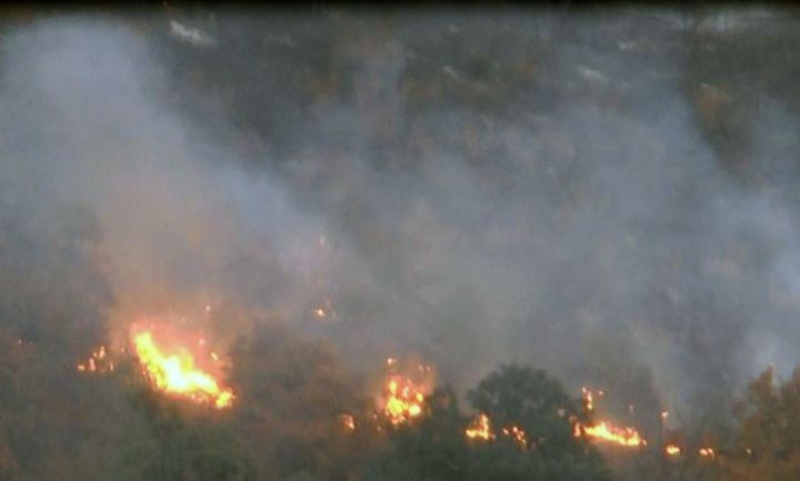 Azərbaycanda texnikanın çıxmasının mümkünsüz olan meşəlik ərazi yanır