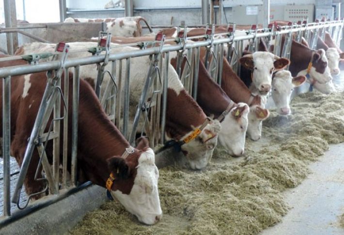 60 faizini dövlət, 40 faizini vətəndaş ödəyəcək 