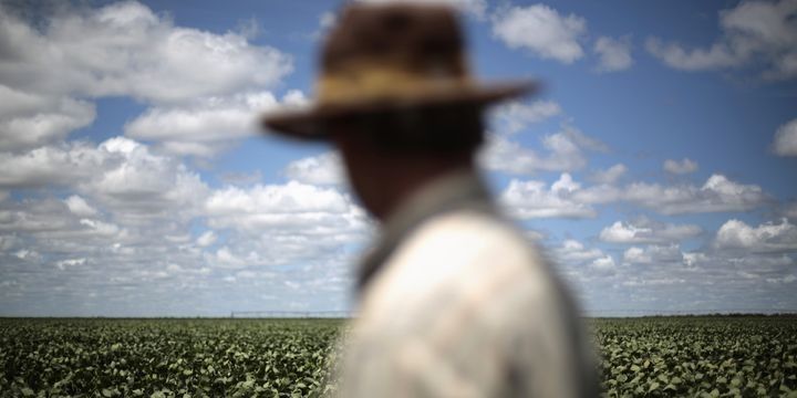 Ət və süd istehsalında inhisarçı ölkələr müəyyənləşib