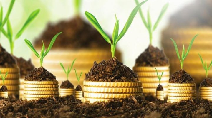 Petkim dividend ödənişinə başlayır