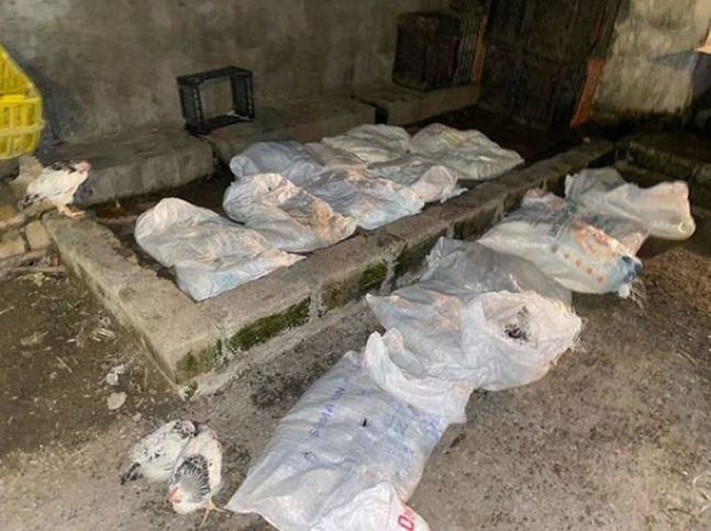 Quş əti emali sexinin fəaliyyəti məhdudlaşdırıldı