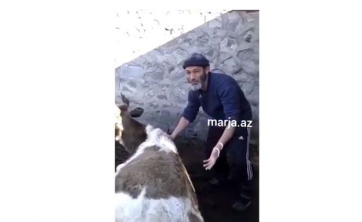 “Yeyirsiniz”, amma bizə bu zülmü verməyin” - VİDEO