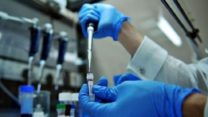 Gürcüstanda 158 nəfər “donuz qripi”nə yoluxub