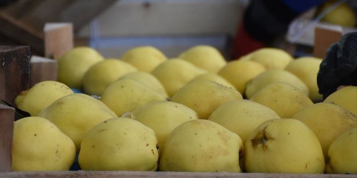 Azərbaycan meyvə-tərəvəz ixracını 13%-dən çox artırıb