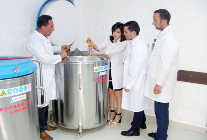 Əhali ən çox ətlik balalara üstünlük verir - YENİ CİNS BUĞALAR GƏTİRİLƏCƏK