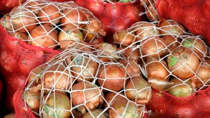 Dövlət şirkəti ilk dəfə Gürcüstana məhsul ixrac edib 