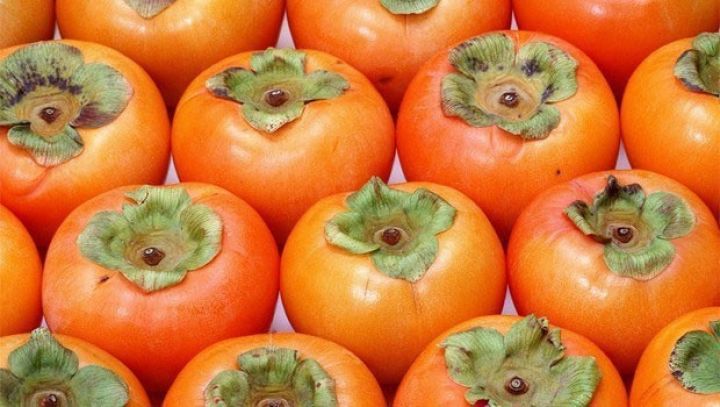 Xurma birinci olub - QIŞIN ƏN UZUN AYINDA 13 MİLYON DOLLARLIQ İXRAC 