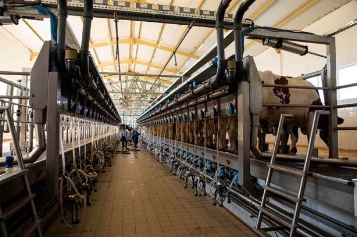 “Azərsun Holdinq” kərə yağı istehsalına hazırlaşır