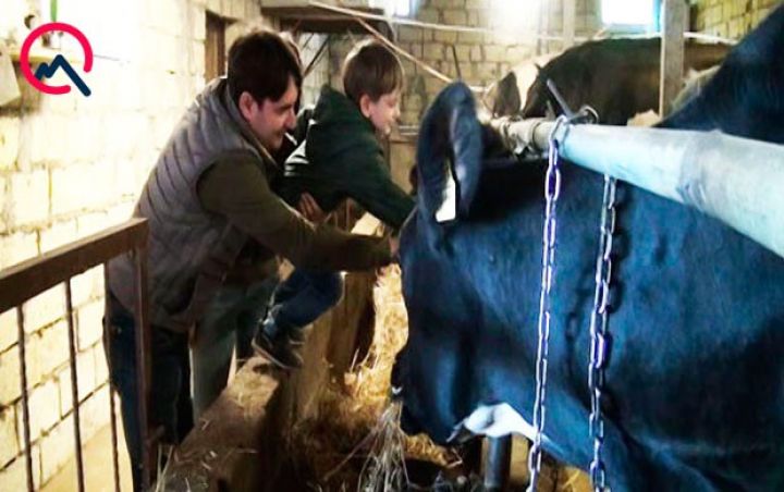 Fransadan gəlib Şamaxıda ferma açdı - Foto