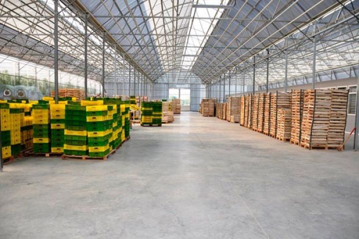 8,5 milyona tikilmiş istixana istehsala başladı