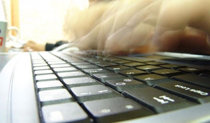 Qida idxalı üçün müraciət elektronlaşdırılır