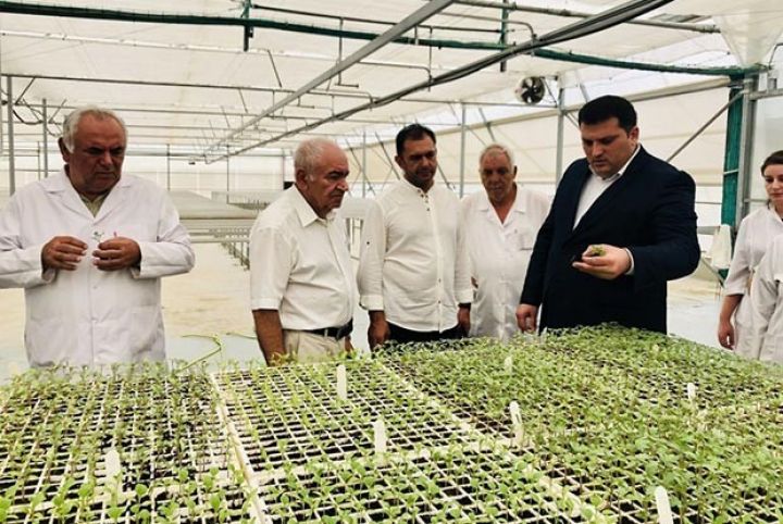 Kanalizasiya tullantısından gübrə istehsalı qaydaları nümayiş olunub