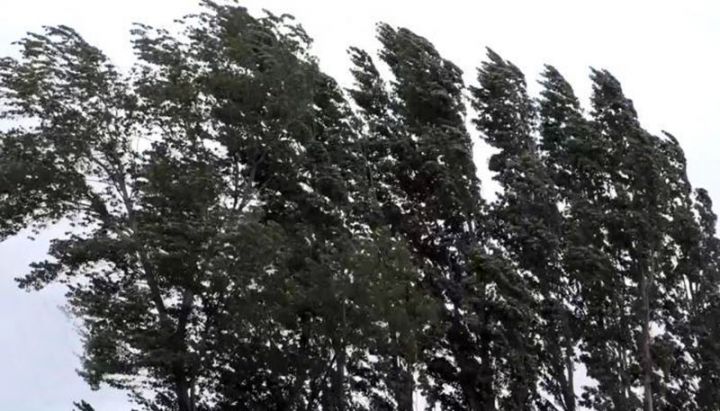 Həftə sonuna qədər küləkli hava davam edəcək - XƏBƏRDARLIQ