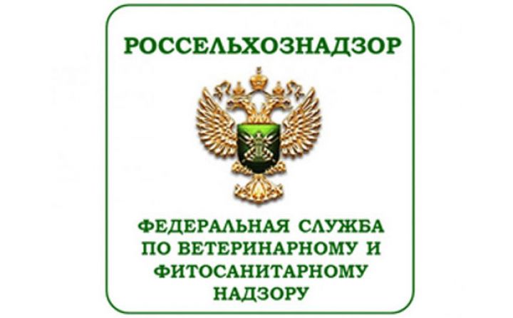 Azərbaycan Rusiya şirkətlərinə  icazə verdi