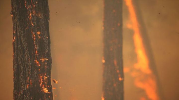 Türkiyənin turizm sektoru da "yanır" - Hər 5 rezervasiyadan biri ləğv edildi