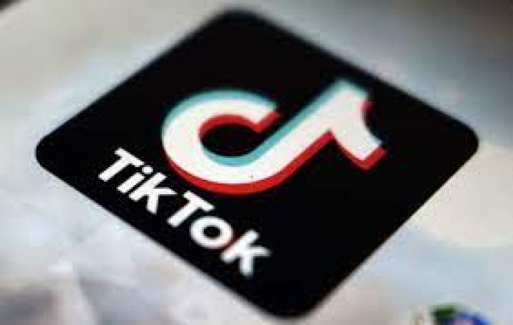 TikTok 2021-ci ildə internetdə ən çox ziyarət edilən resurs olub