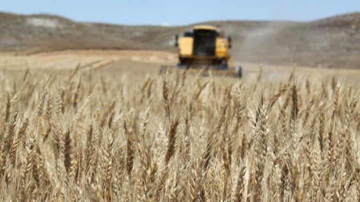 Sığortasız əkin sahələri subsidiya ala bilməyəcək - XƏBƏRDARLIQ