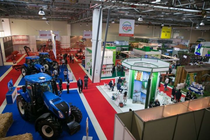 Azərbaycanda builki beynəxlaq sərgilər təxirə salınmayacaq