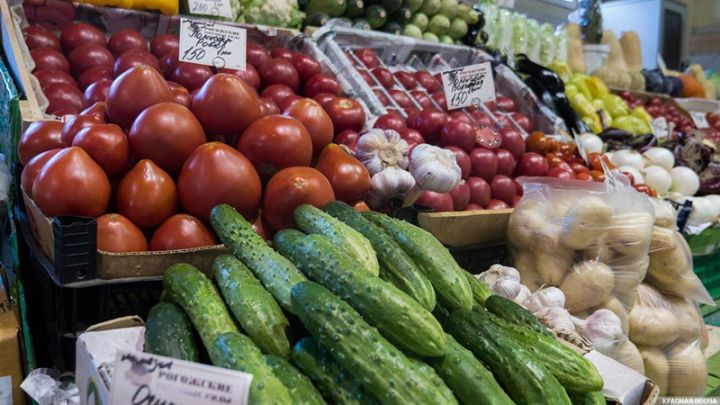 Rusiyada istixana tərəvəzlərinin istehsalı dörd ayda 40,5% artıb