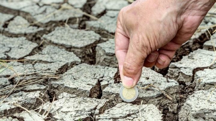 Avropa Mərkəzi Bankından "iqlim dəyişikliyi" çağırışı: Banklar üçün məcburi olmalıdır