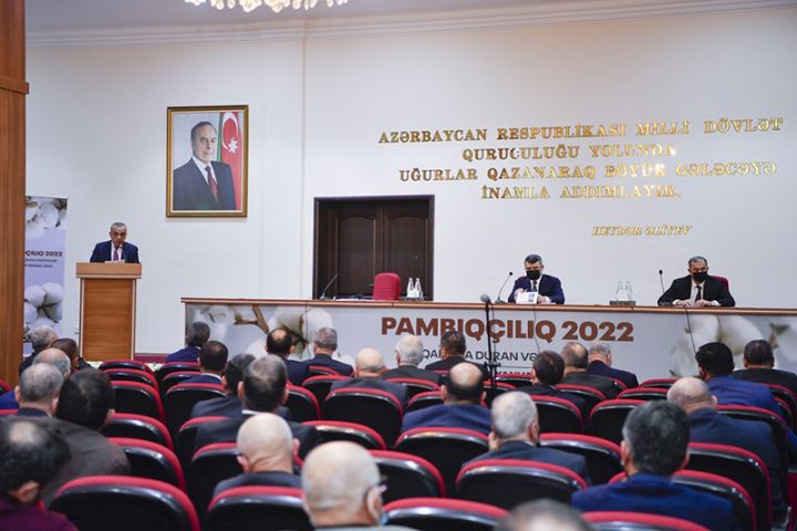 Şirkətlər fermerlərdən pambığın hər tonunu 650-750 manata alacaqlar