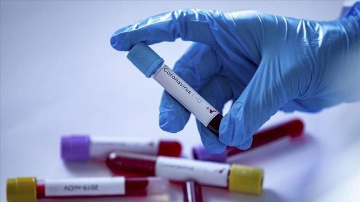Azərbaycanda koronavirus ilə bağlı son vəziyyət açıqlandı