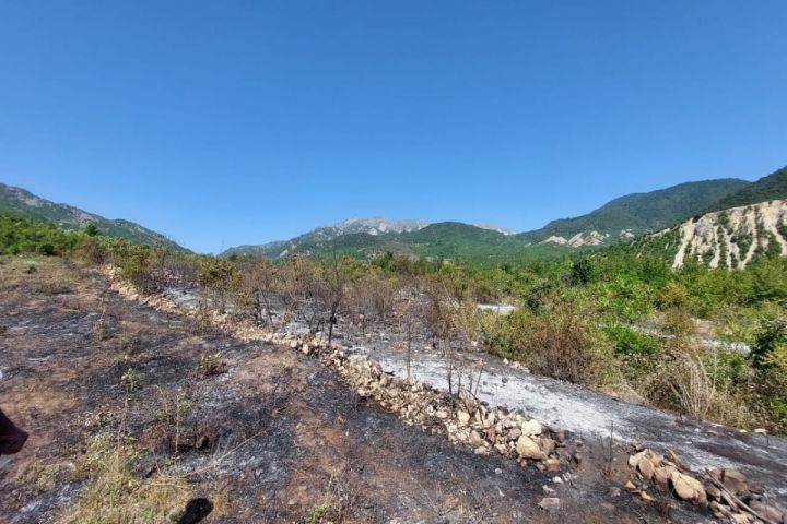 İsmayıllıda qəsdən yanğın törətmə faktının üstü açılıb - VİDEO
