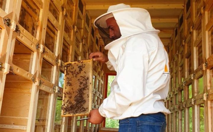 Dövlət bal və bal məhsullarının istehsalı və qablaşdırılması layihəsinə güzəştli kredit ayırıb