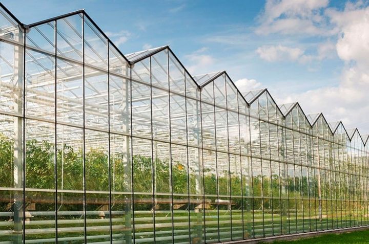 Avropa bankı Azərbaycan şirkətinə istixanalarını genişləndirmək üçün 2 milyon dollar kredit verdi