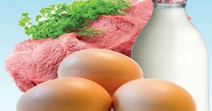 Gəncədə süd, ət və yumurta istehsalı azalıb