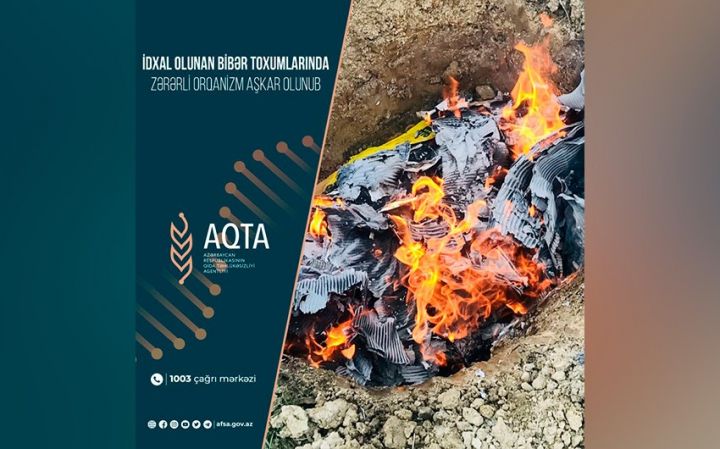 “MK Group Agro” şirkətinin İspaniyadan idxal etdiyi bibər toxumları məhv edildi