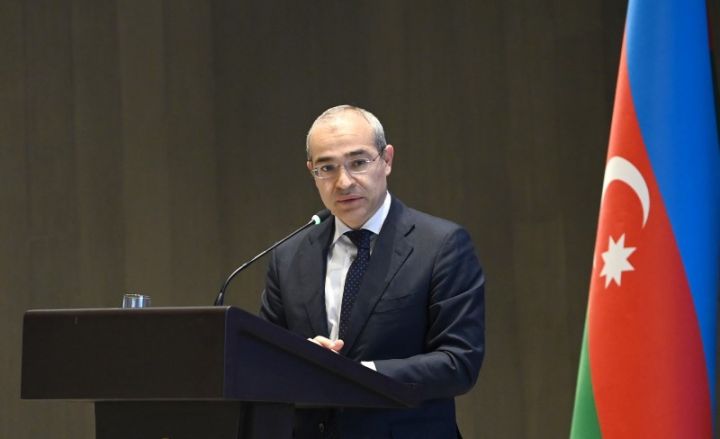 "Özəlləşdirilmiş müəssisələrə 14,6 milyon manat investisiya qoyulub"