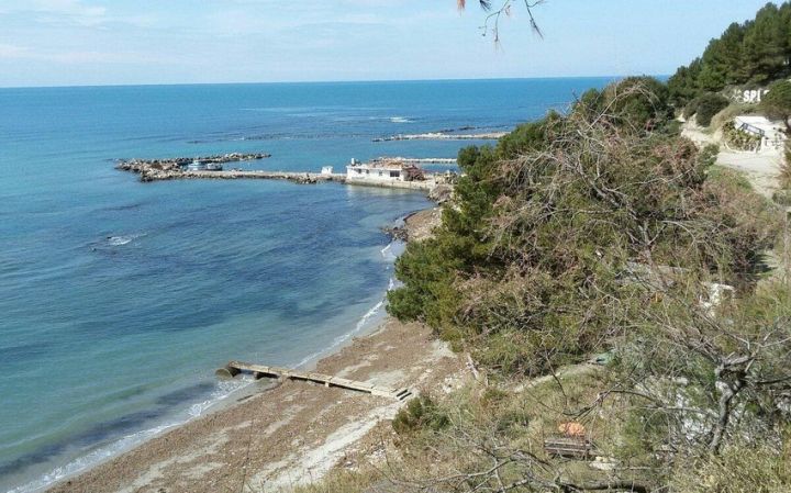 "Azərbaycan gəmisinin saxlanılması barədə məlumatı feykdir"