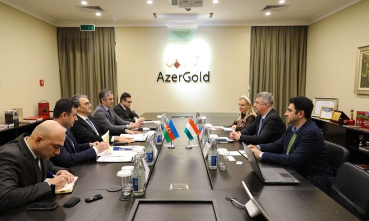 “AzerGold”un sədrinə Macarıstanın “Vibrocomp” şirkəti haqqında məlumat verilib