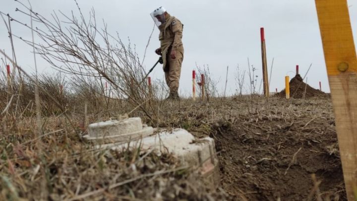 "Bu gün 3 şirkət Azərbaycanda minalardan təmizləmə xidmətini göstərir" - İLHAM ƏLİYEV