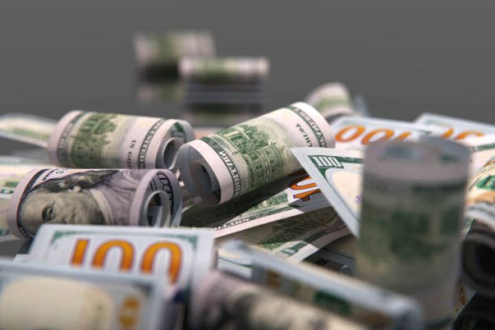 Vahid xəzinə hesabının qalığının bir hissəsi hərracda satılıb