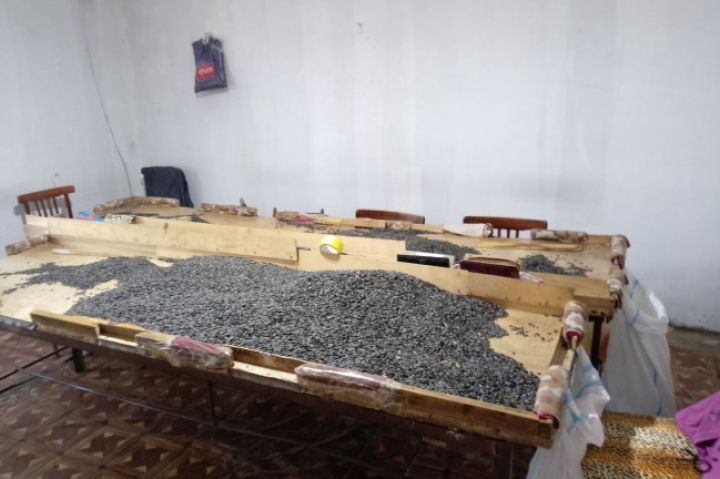 Qaydalara əməl etməyən günəbaxan tumlarının emalı müəssisəsinin fəaliyyəti məhdudlaşdırılıb